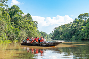 Avistamineto Aves Jungle